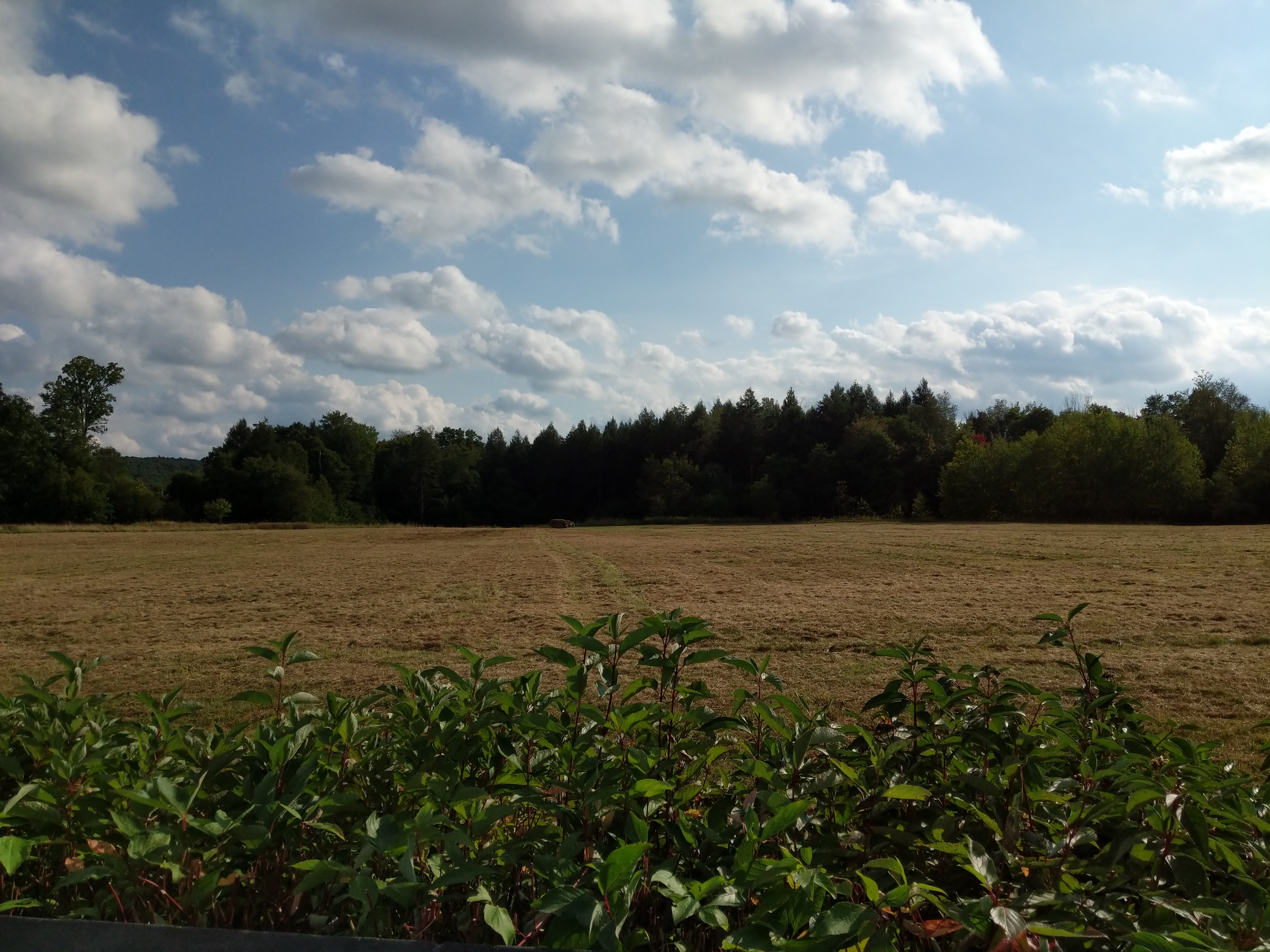 memorialCrashSite